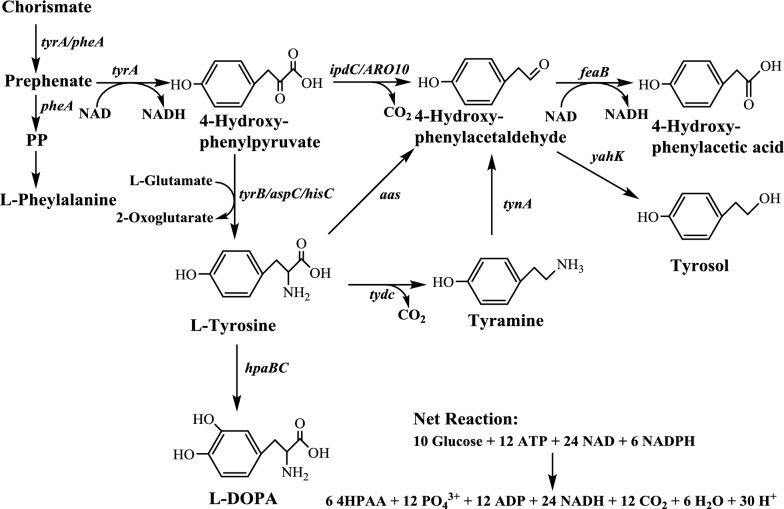 Fig. 1