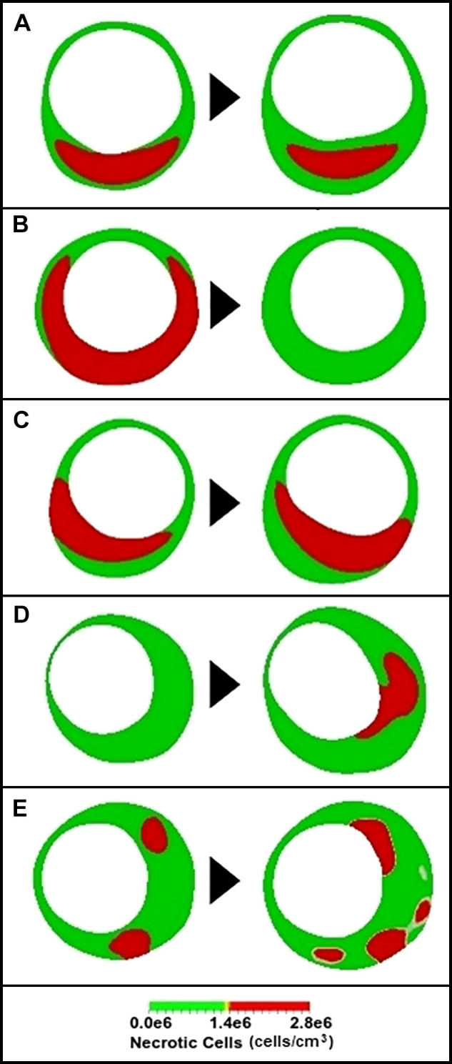 Fig. 9.