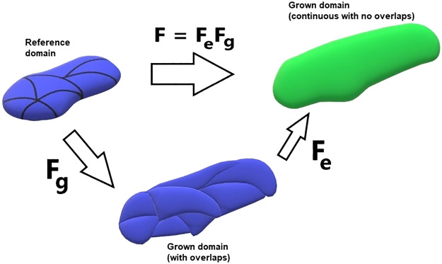 Fig. 6.