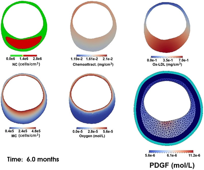 Fig. 8.