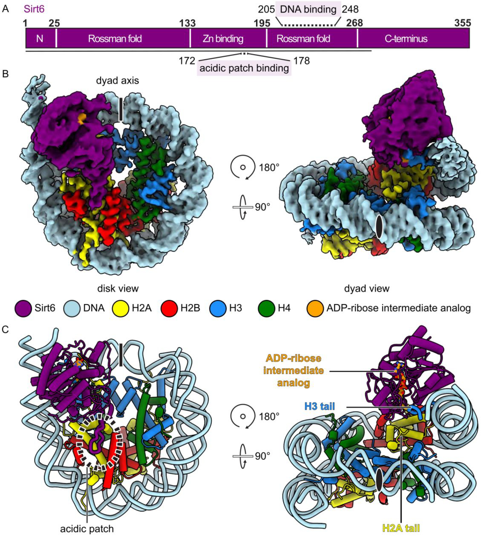 Figure 4.