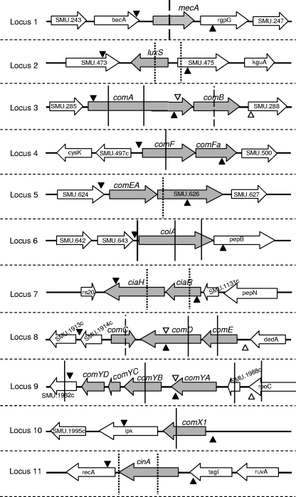 FIG. 1.