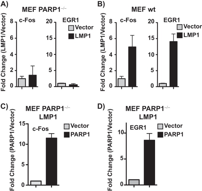 FIG 6