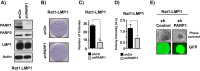 FIG 8
