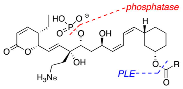 Figure 37