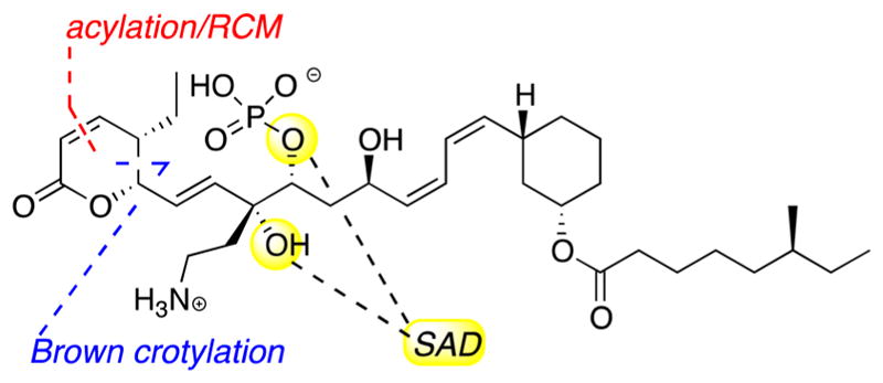 Figure 40