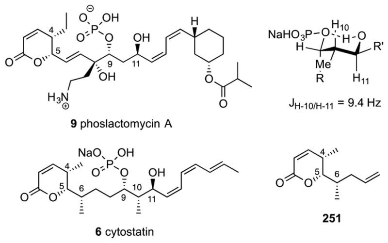 Figure 23