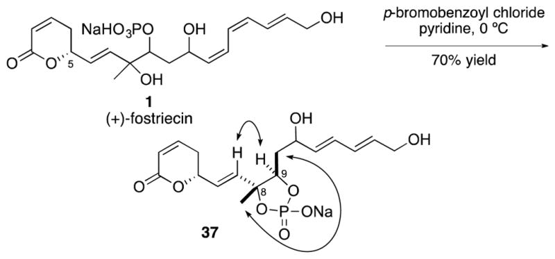 Scheme 3