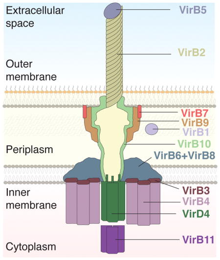 graphic file with name nihms930906u1.jpg