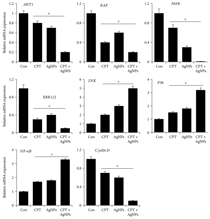 Figure 11