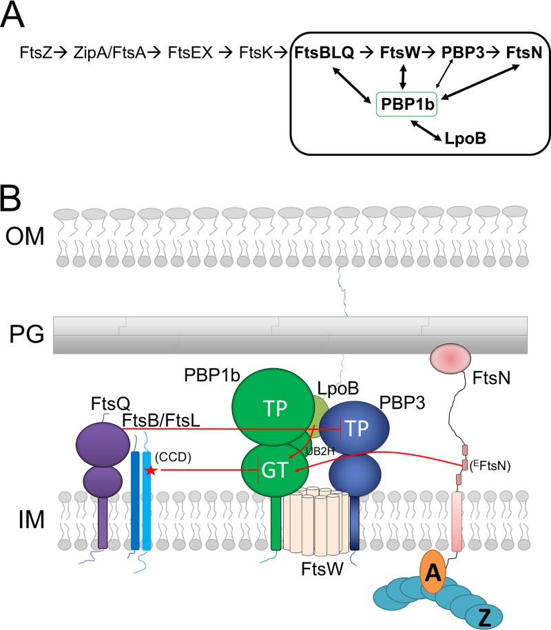 FIG 8