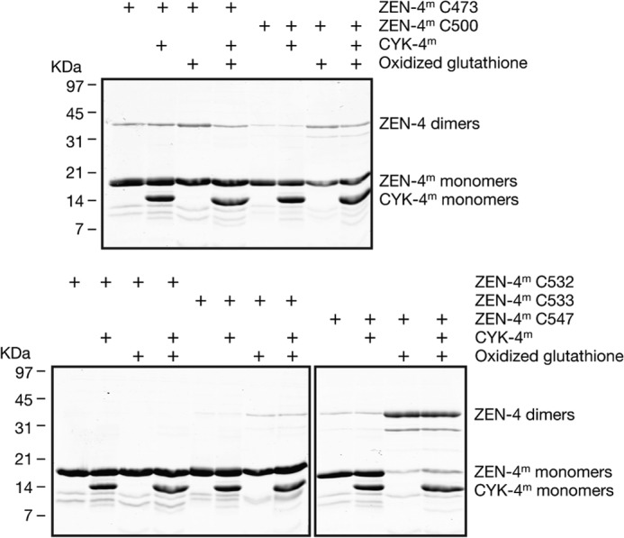 FIGURE 2.