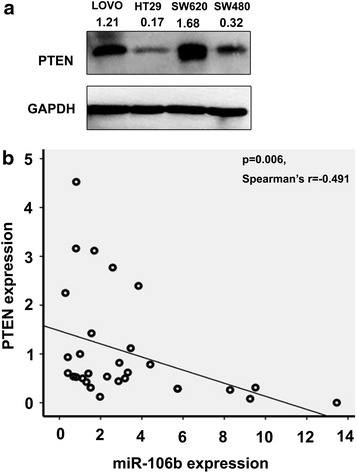 Fig. 5