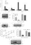 FIG 5