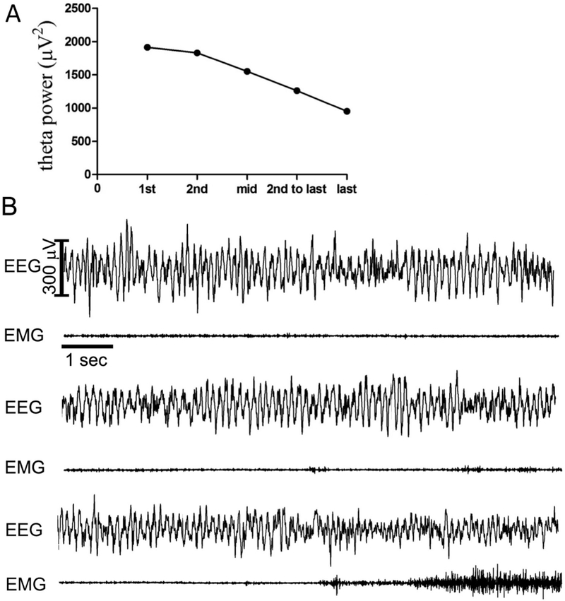 Fig. 1. –