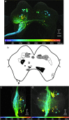 Fig 4