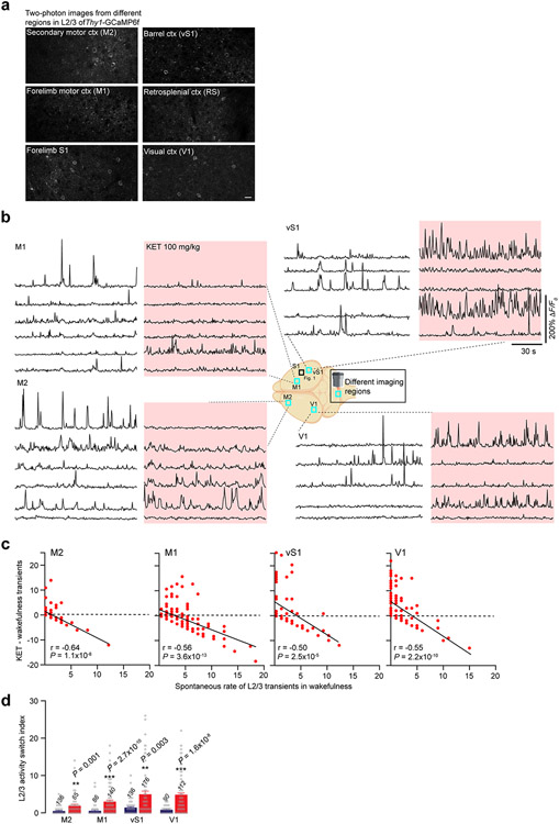 Extended Data Fig. 6 ∣