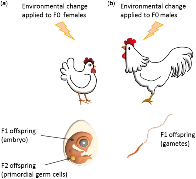 Figure 1: