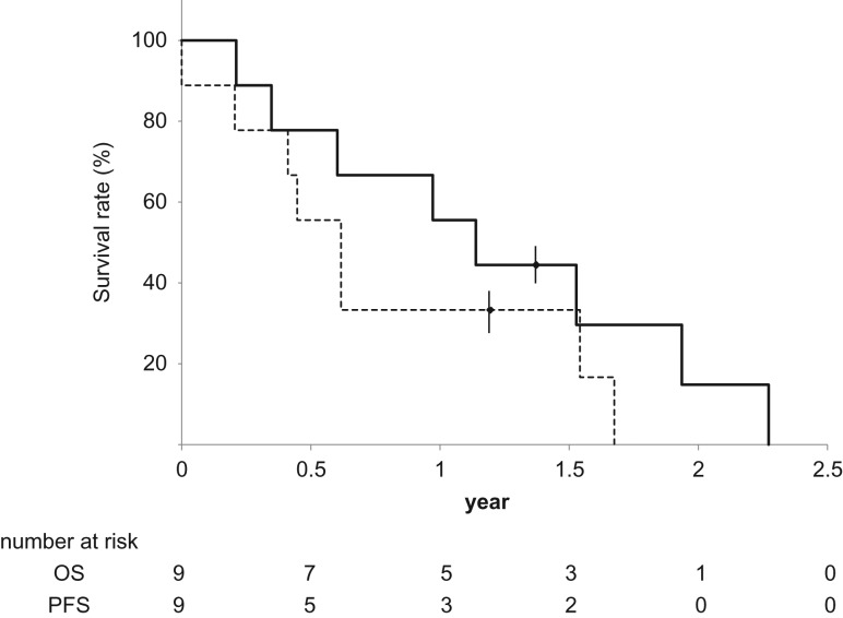 Fig. 3.