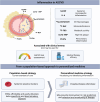 Graphical Abstract