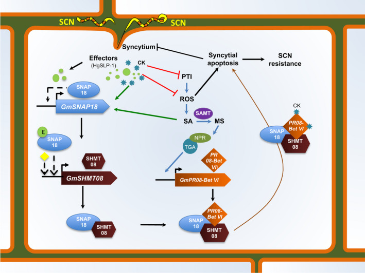 Figure 9