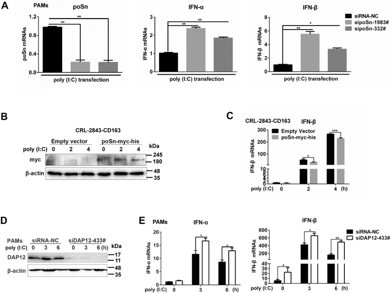 Figure 7