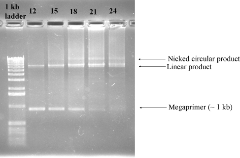 Fig. 2