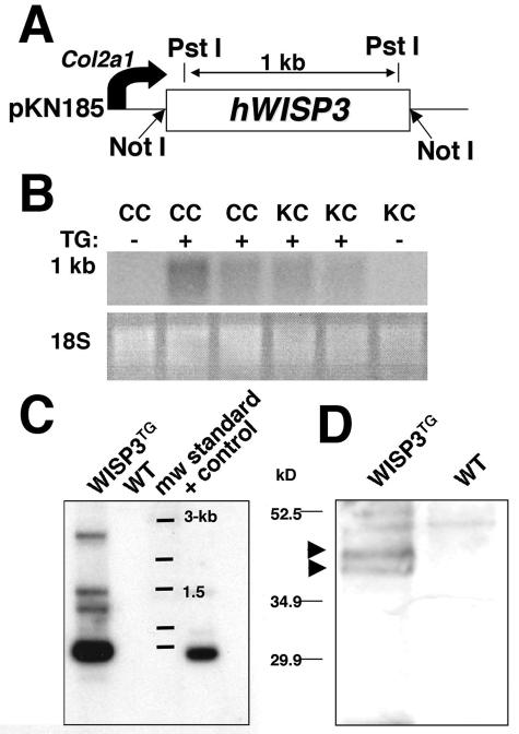 FIG. 6.