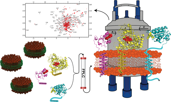 graphic file with name nihms-1056463-f0005.jpg