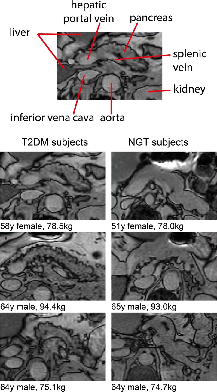 Fig 4