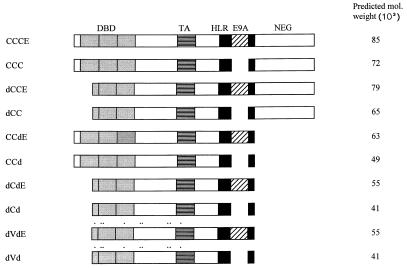 FIG. 1