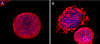 FIG. 1.