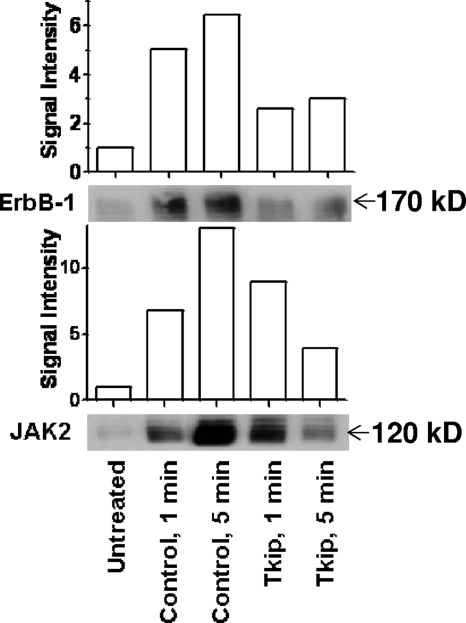 FIG. 9.