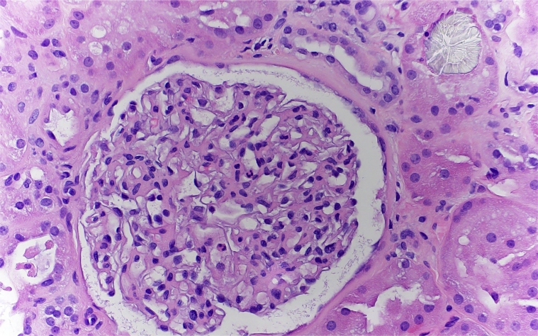 Figure 2