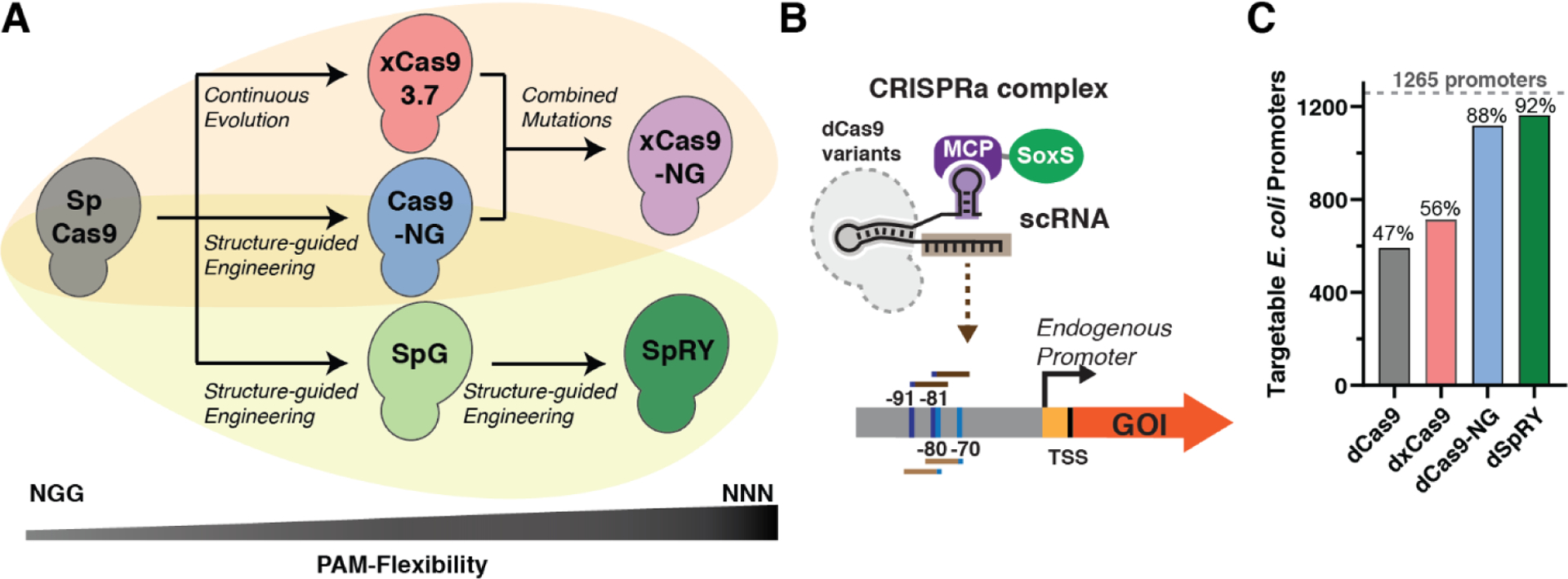 Figure 1: