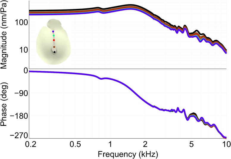 Fig. 8