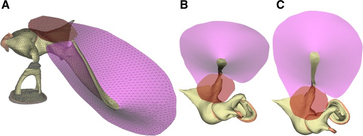 Fig. 1