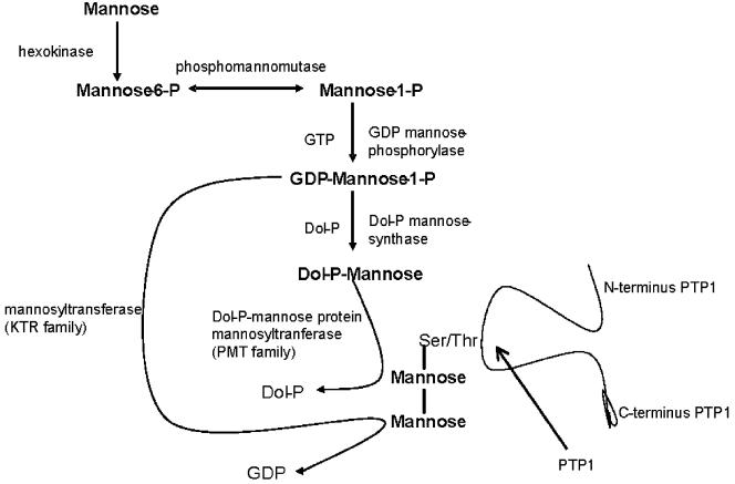 FIG. 8.