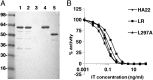 Fig. 5.