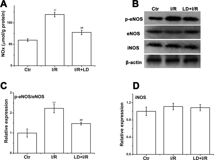 Fig 10