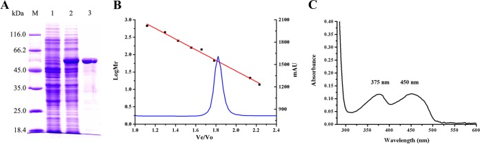 FIG 5