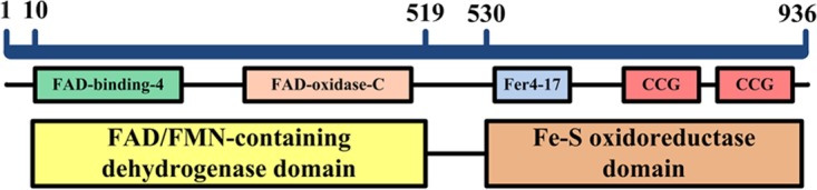 FIG 1