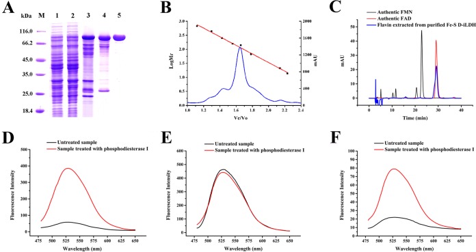 FIG 4