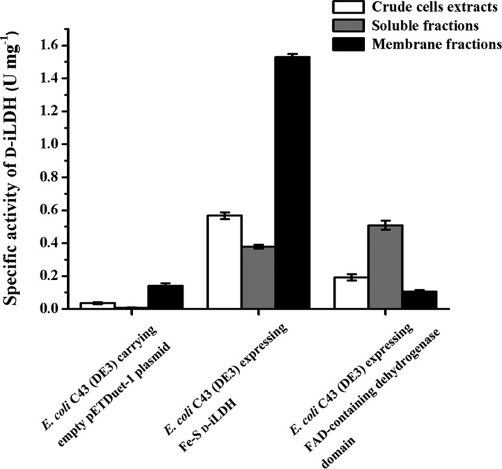 FIG 7