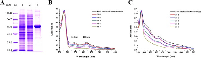 FIG 6