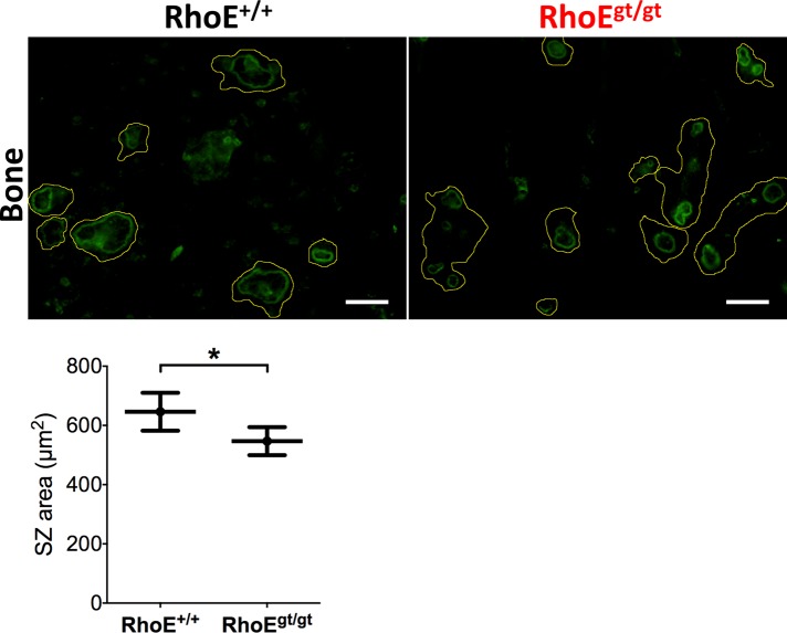 FIGURE 5: