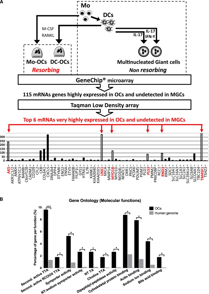 FIGURE 3: