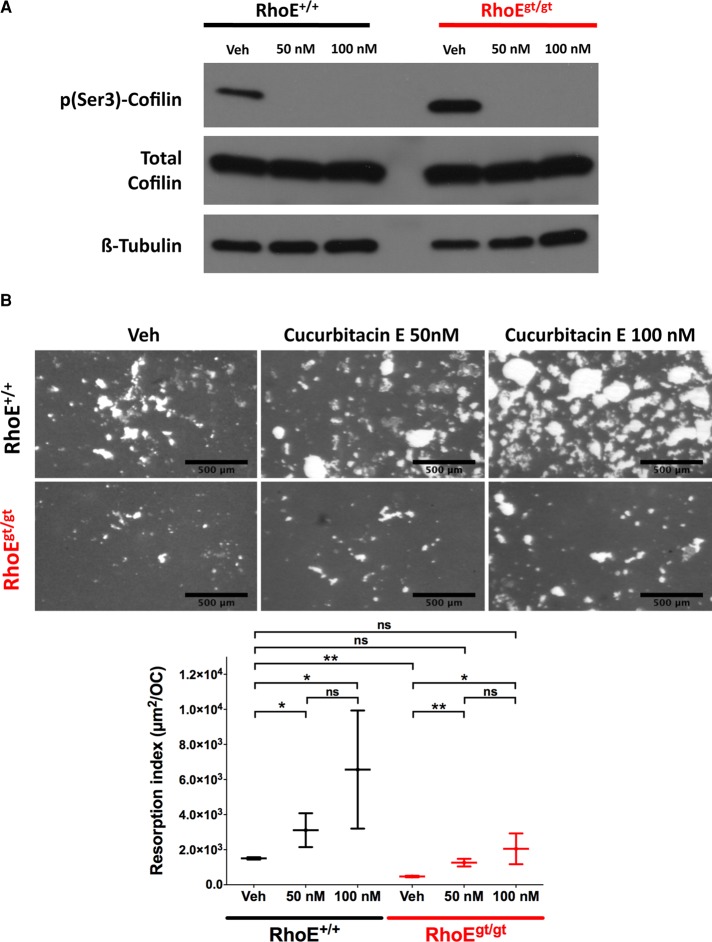 FIGURE 10: