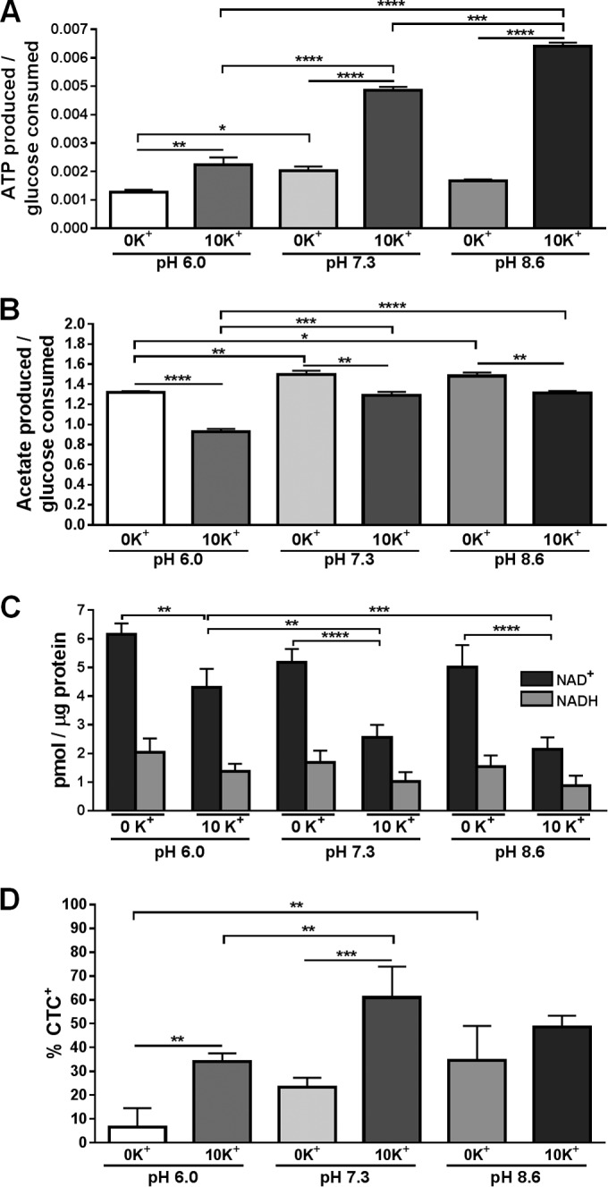 FIG 2 