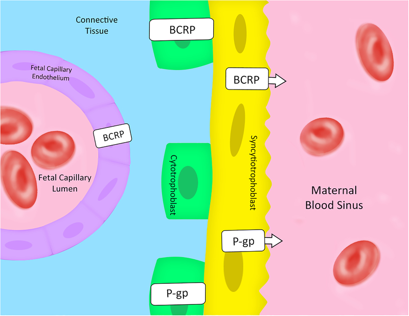 Figure 1: